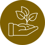 Biodegradable icon